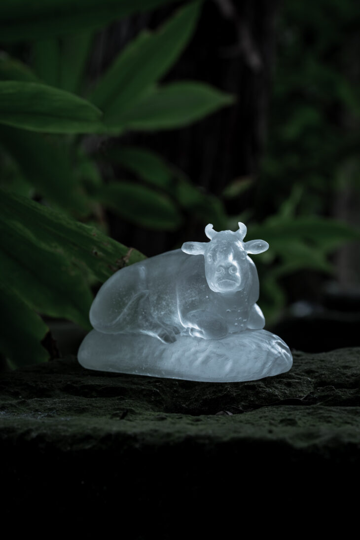 白牛